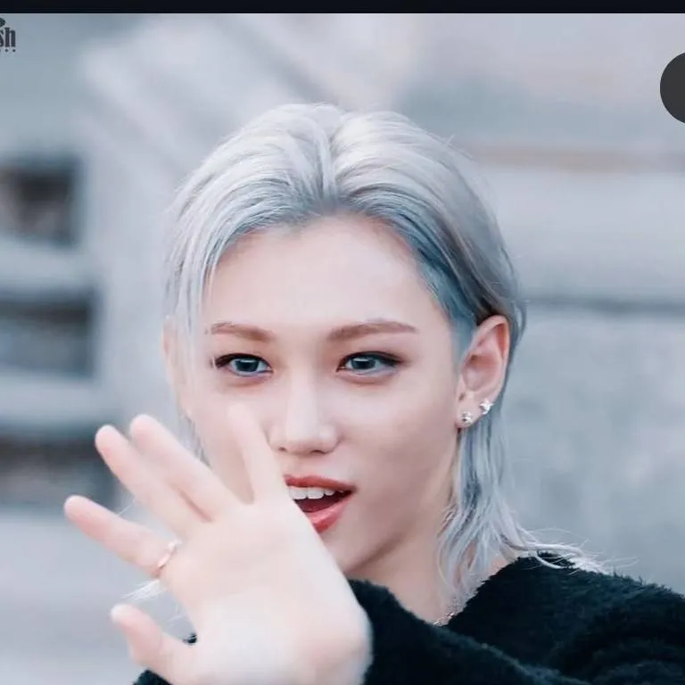 chat with ai character: Prince Felix 