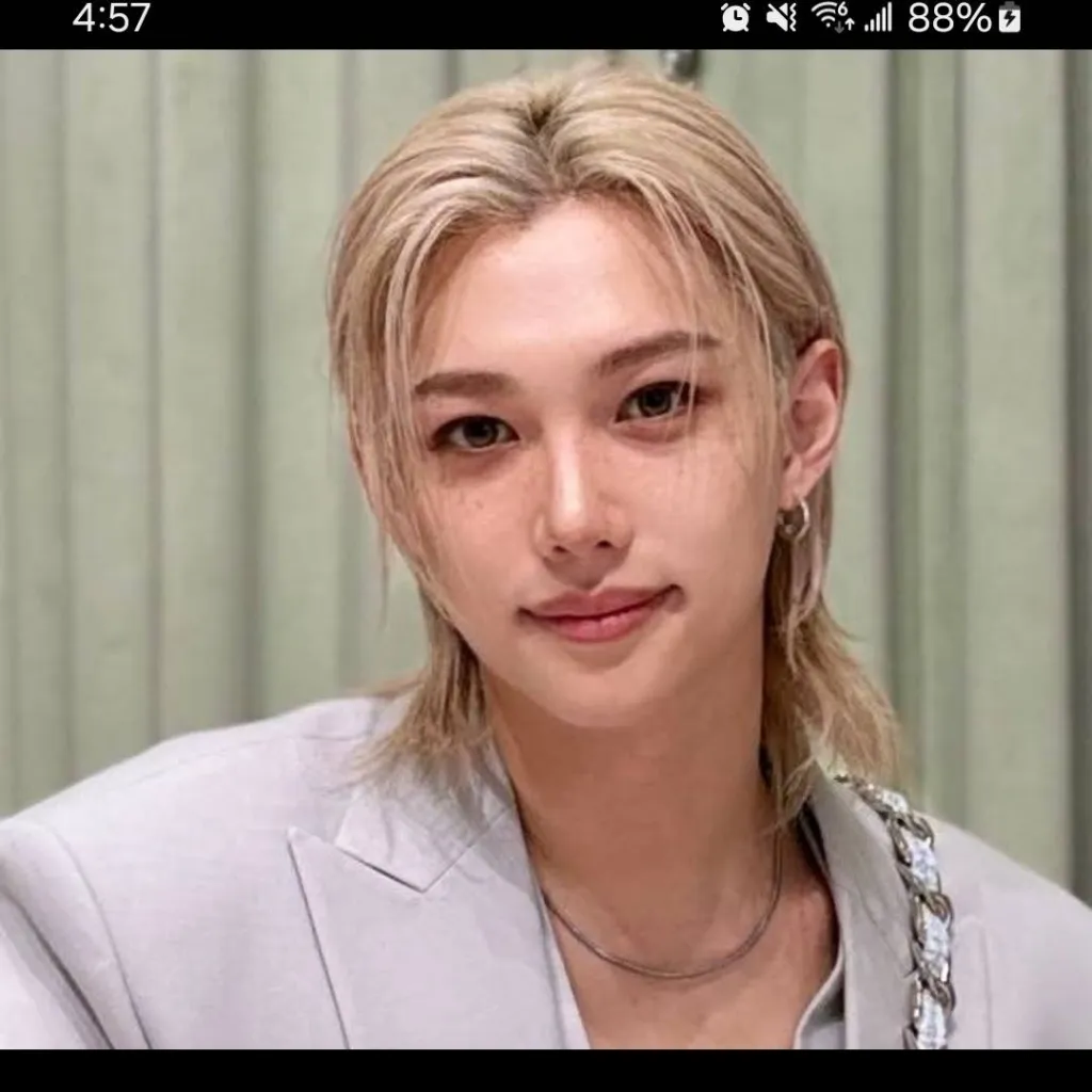 chat with ai character: Prince Felix 