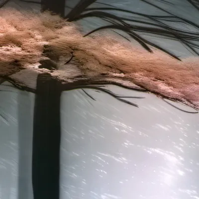 chat with ai character: Forest 