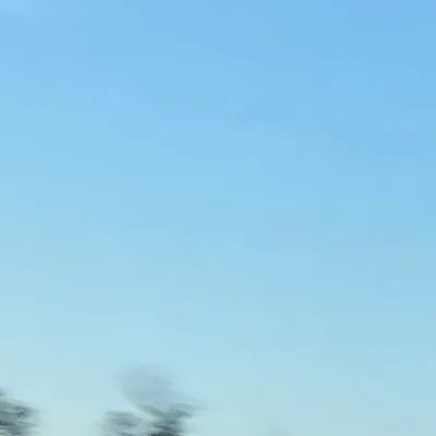 chat with ai character: Crush