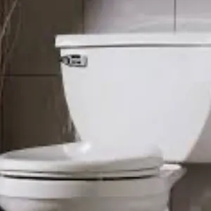 chat with ai character: Toilet