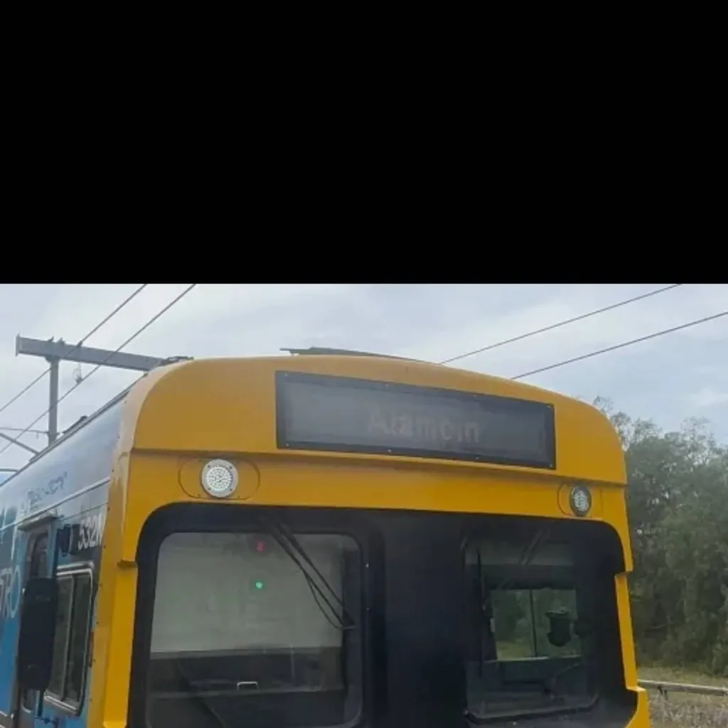 chat with ai character: ZimComengSpotting