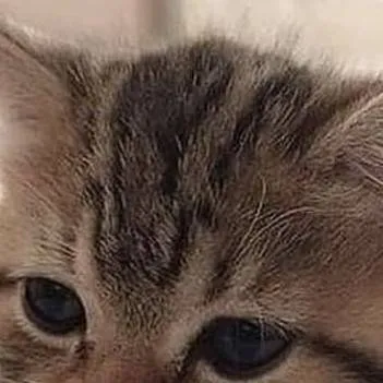 chat with ai character: Js click it ...