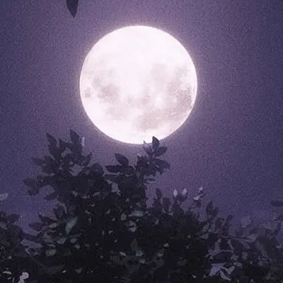 chat with ai character: The moon and sun 