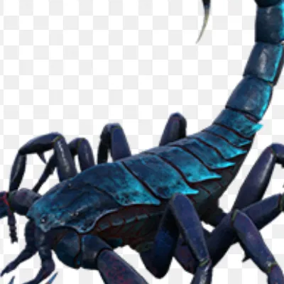 chat with ai character: Scorpio ￼