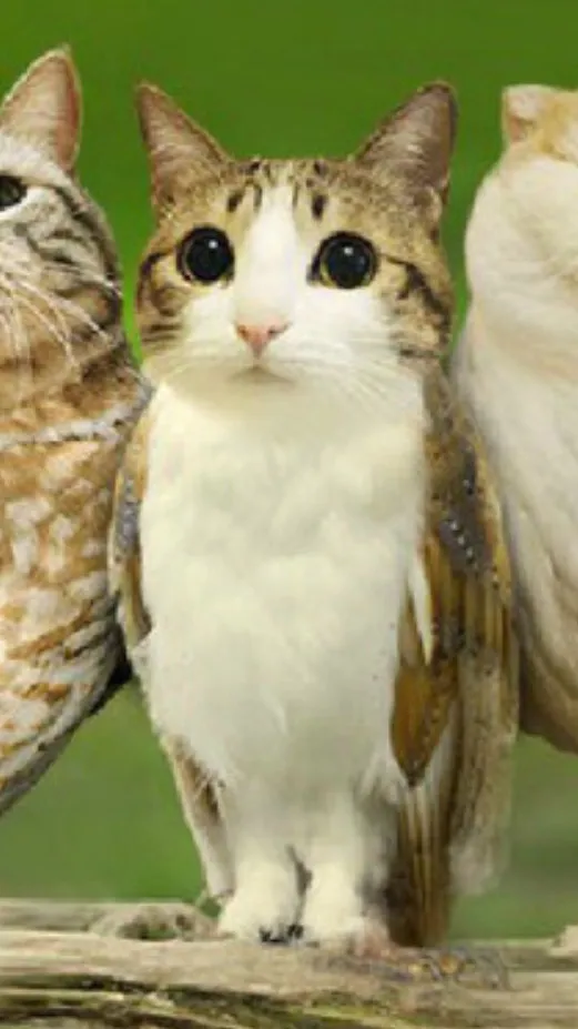 ai character: Normal violet background