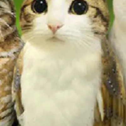 chat with ai character: Normal violet