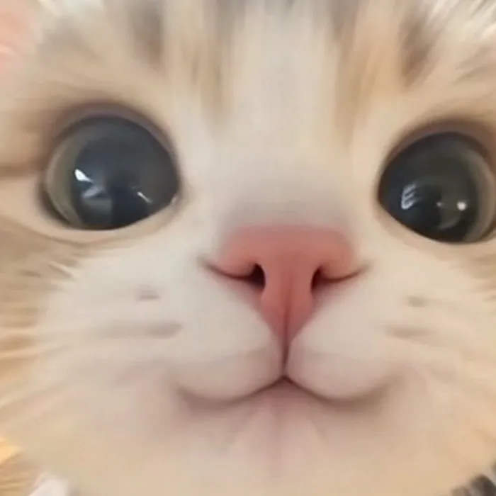 chat with ai character: Nori nano form