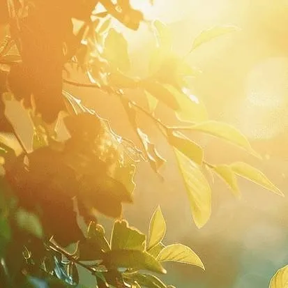 chat with ai character: The Hobbit