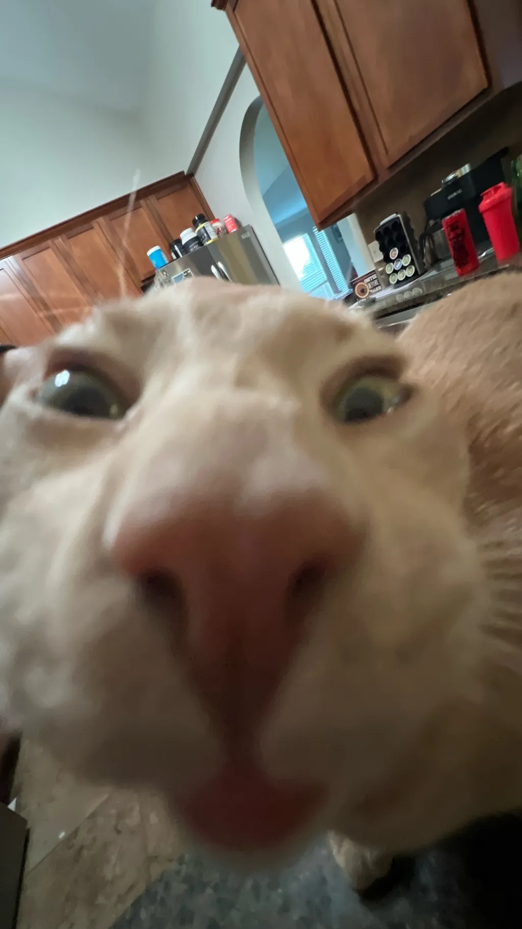 ai character: Forsaken  background