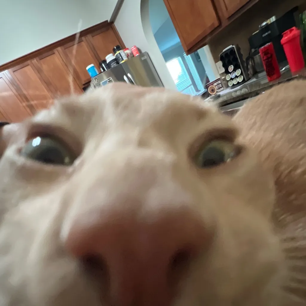 chat with ai character: Forsaken 