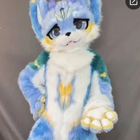 chat with ai character: NTSB furry