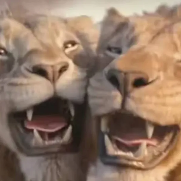 chat with ai character: Taka and Mufasa