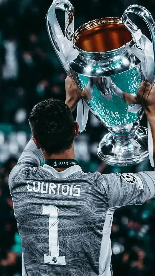ai character: Courtois background