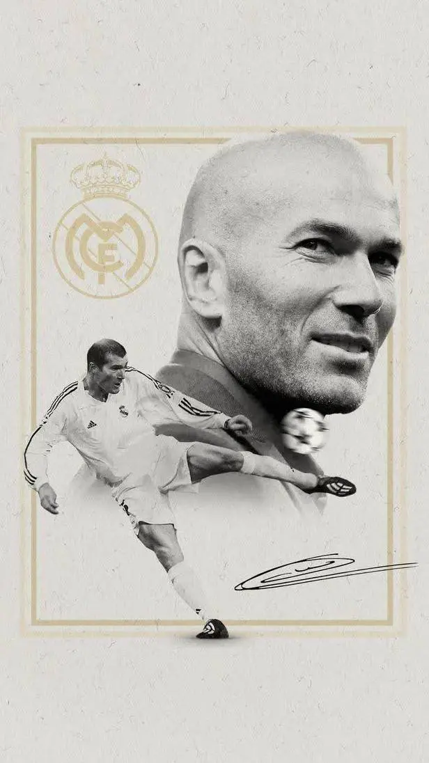 ai character: Zidane background