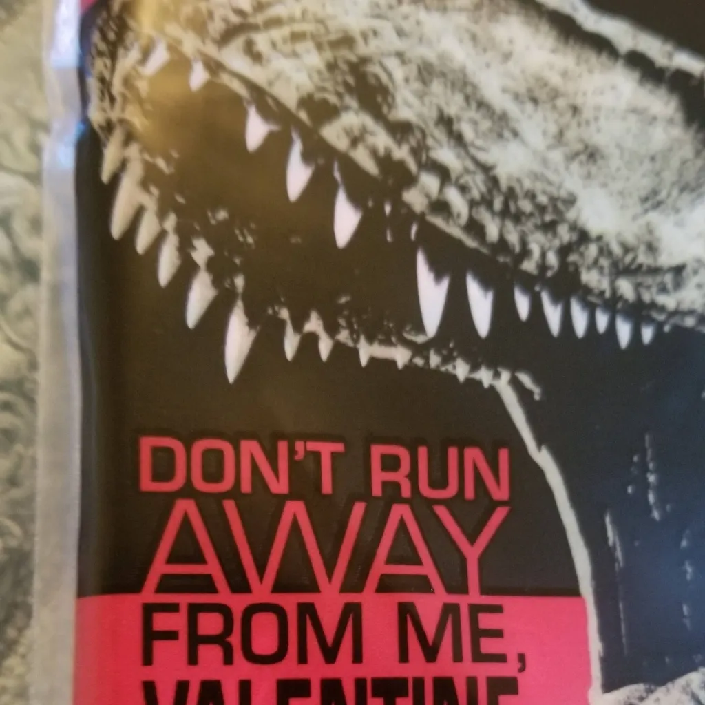 chat with ai character: VALENTINE'S FS💖