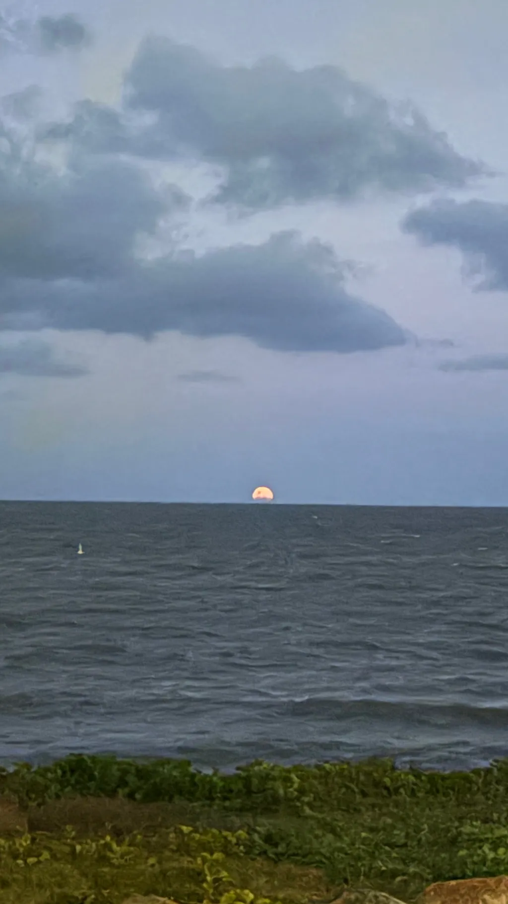 ai character: 2D! background