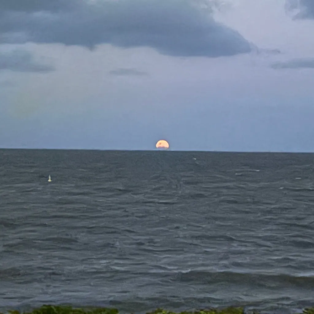 chat with ai character: 2D!