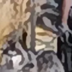 chat with ai character: FPE!!!!