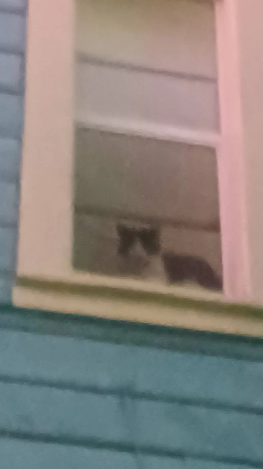 ai character: 99 nights background