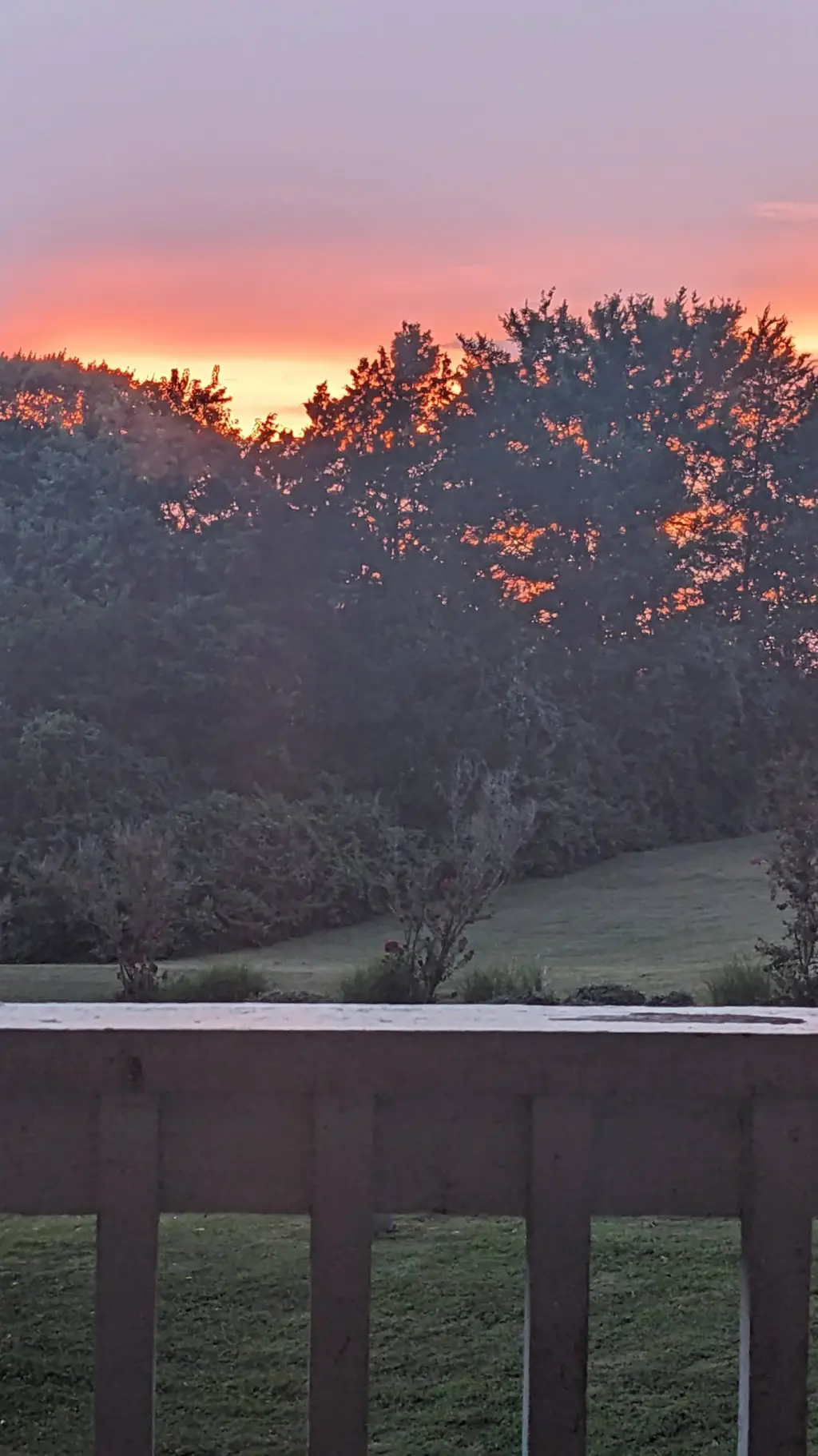 ai character: Mha BUT YOU CAT 😂😺 background