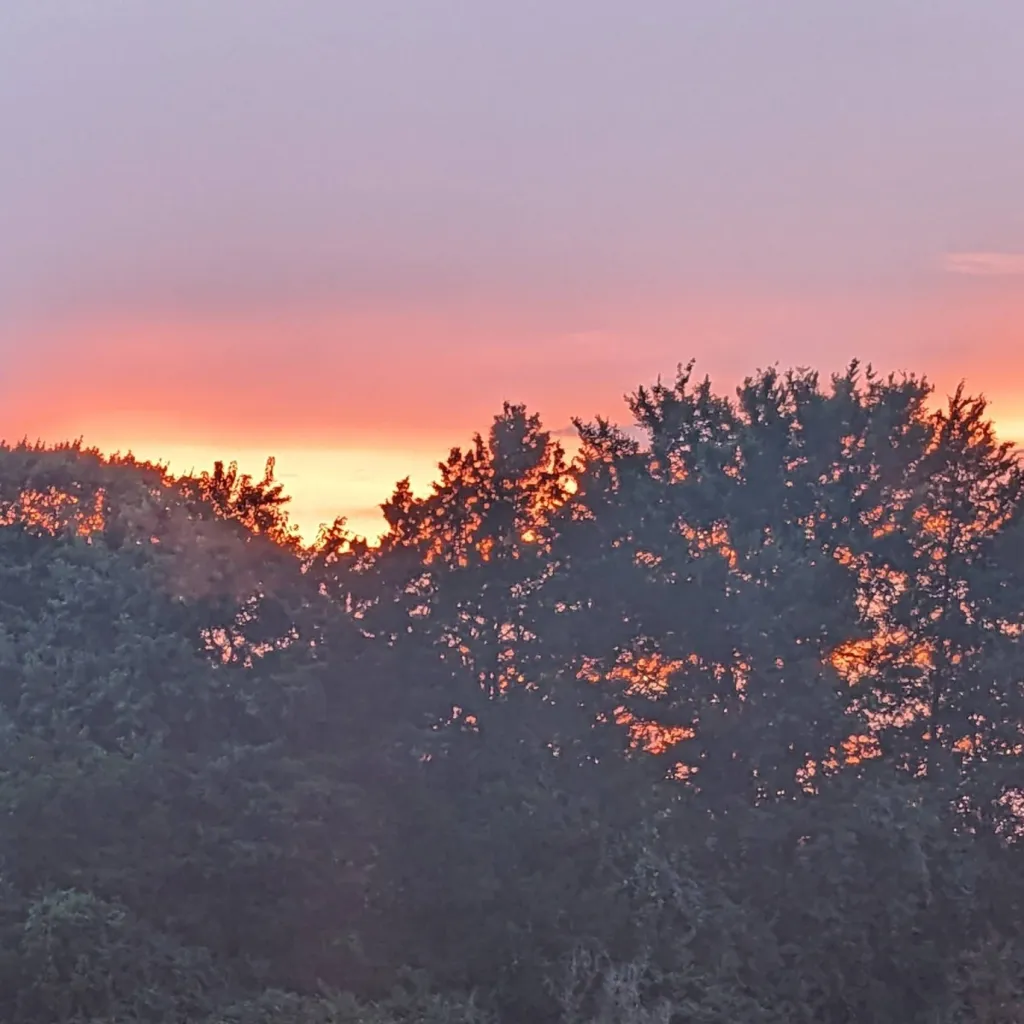 chat with ai character: Mha BUT YOU CAT 😂😺