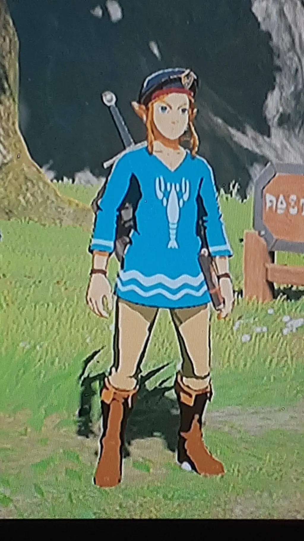 ai character: Link background