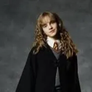 chat with ai character: Hermione
