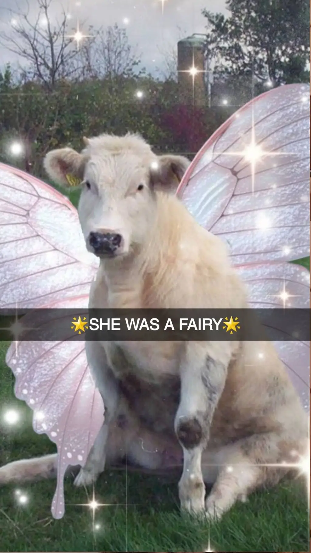 ai character: Change my pfp? background