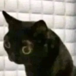 chat with ai character: HEHE