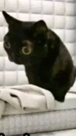 ai character: HEHE background