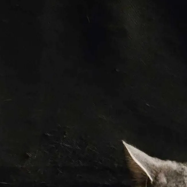 chat with ai character: charlie