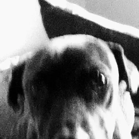 chat with ai character: Grizz