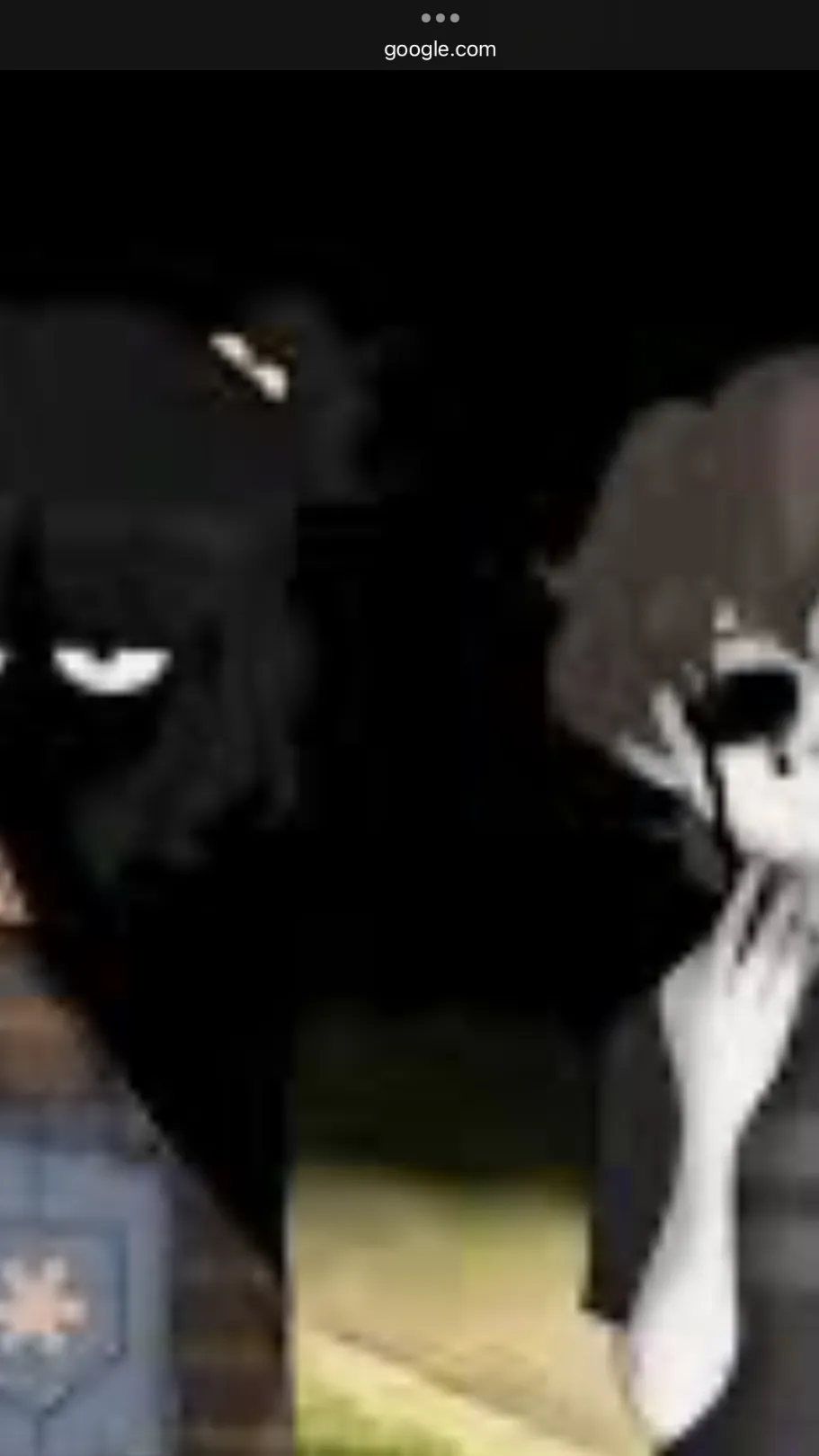 ai character: Cassidy and cc background