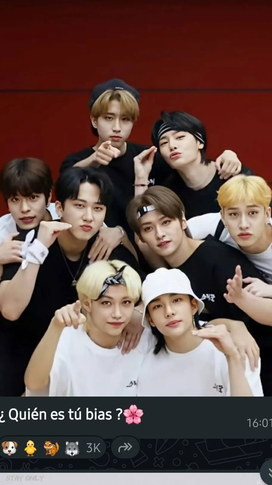 ai character: ♥︎~Straykids~♥︎ background