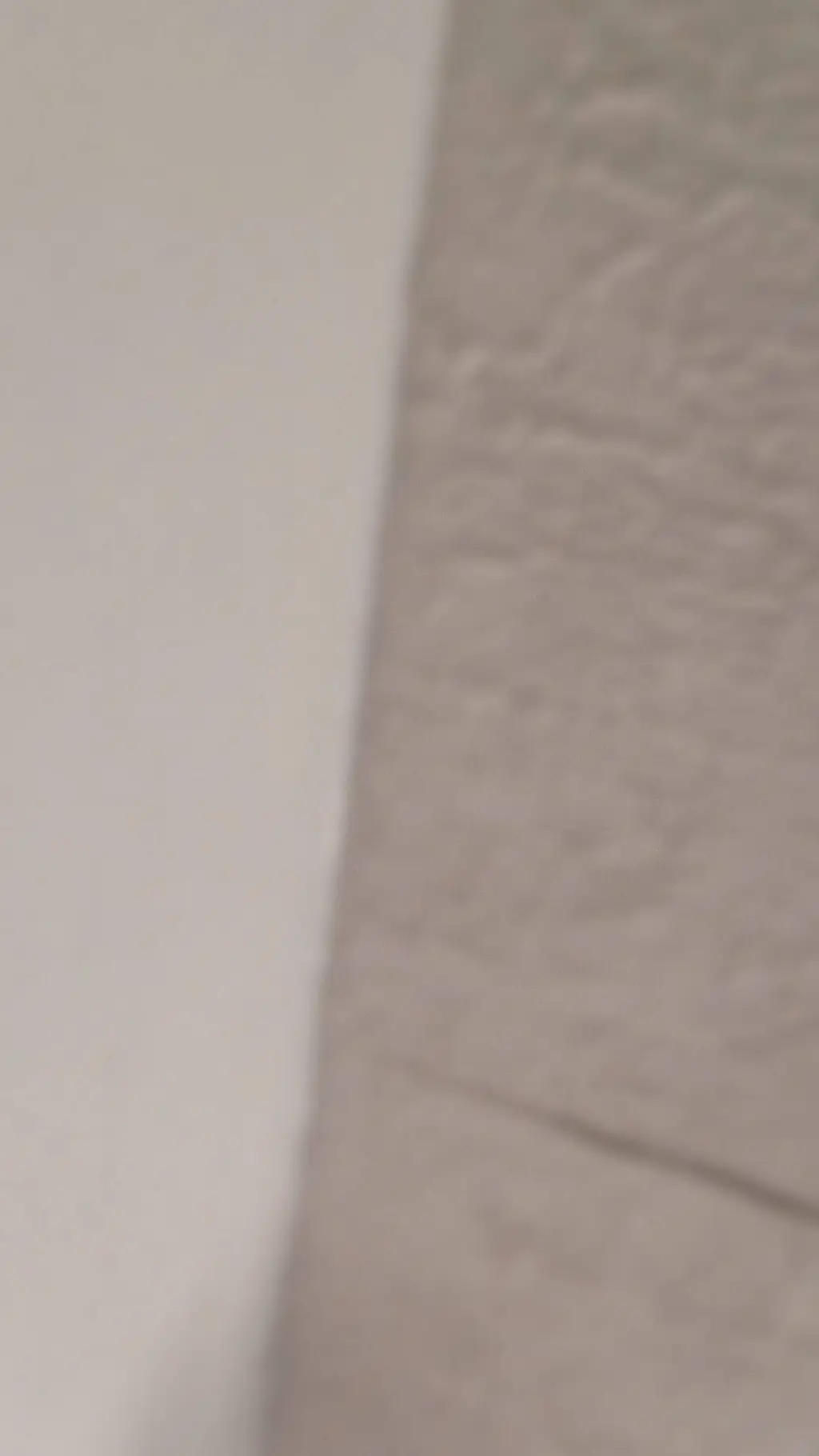 ai character: Saya×Maya  background