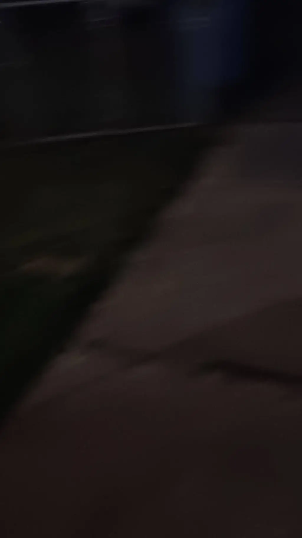 ai character: Pinkis bakery  background