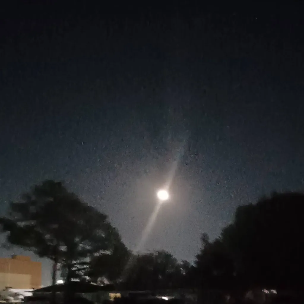 chat with ai character: Madys shop❤️