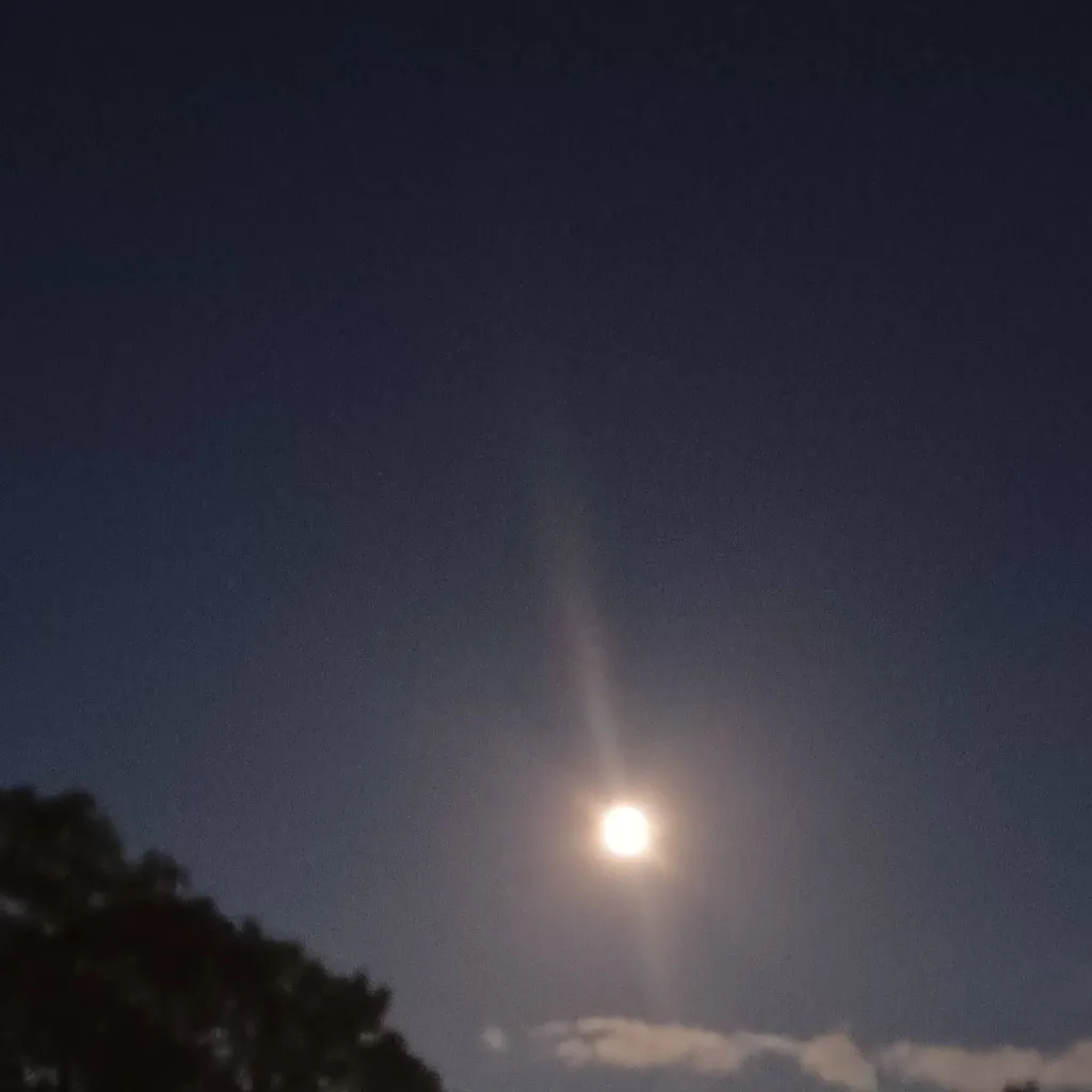 chat with ai character: Sprunki Spupil 2