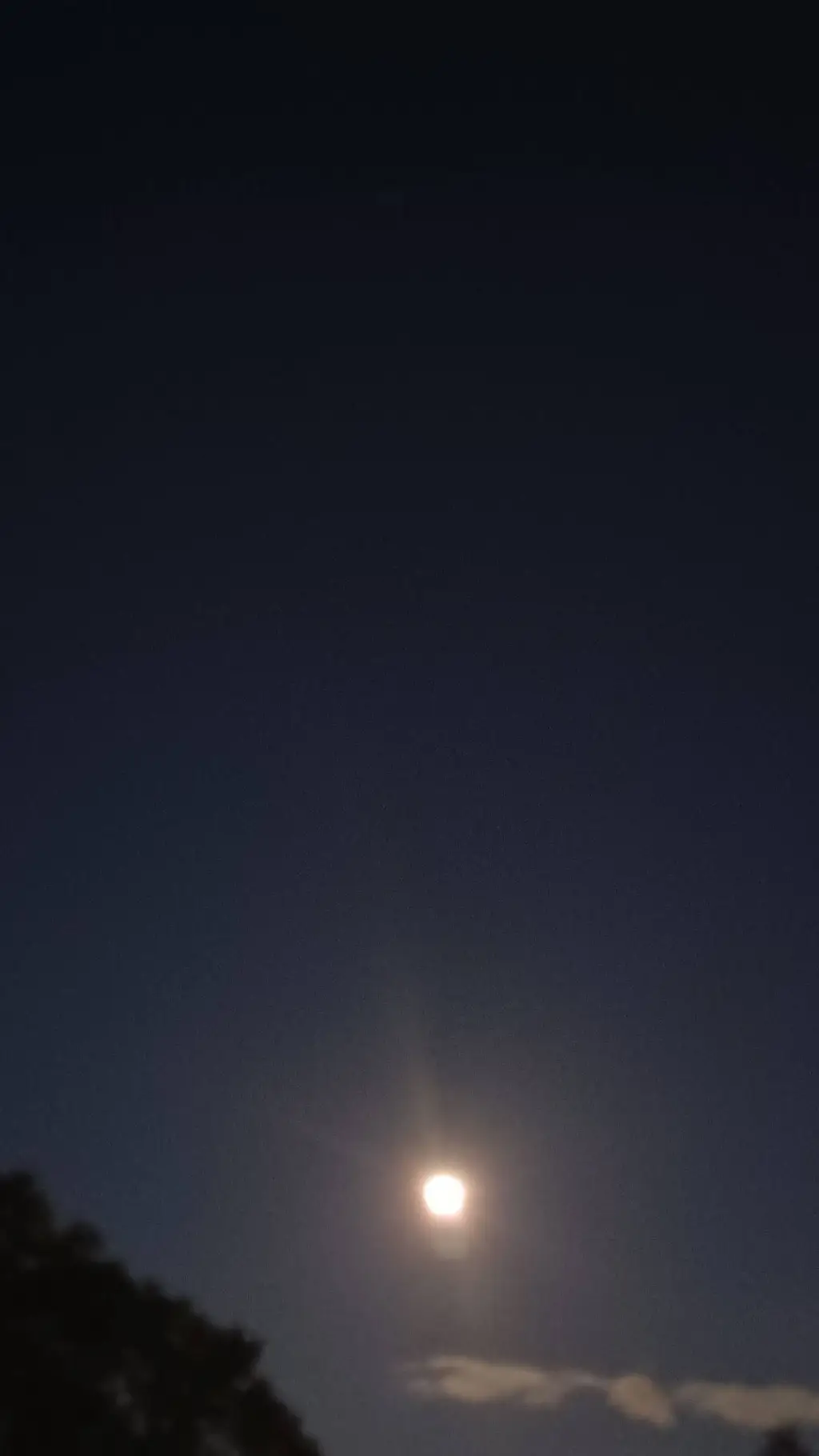 ai character: Lashila family 2 background