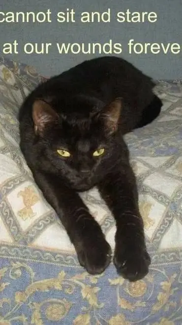 ai character: wounds. background