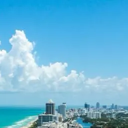 chat with ai character: Miami Greens