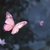 chat with ai character: Fairy