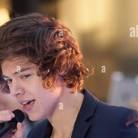 chat with ai character: harry styles❤🎤🎶