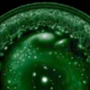 chat with ai character: ... 