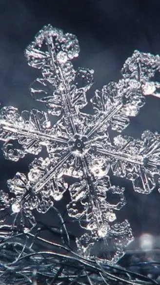 ai character: Forsaken Xmas!! ^^ background