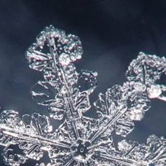 chat with ai character: Forsaken Xmas!! ^^