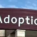 chat with ai character: Adopting a child