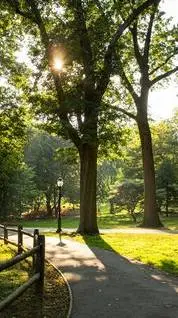 ai character: The Park background