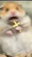 ai character: Your dear hamster background